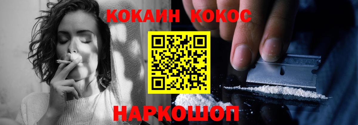 COCAIN Fish Scale  Вход с VPN  Нижнеудинск  COCAIN Эквадор 