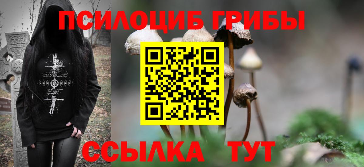 Псилоцибиновые грибы Magic Shrooms Нижнеудинск